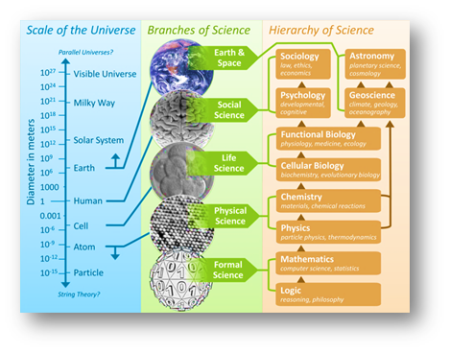 Scale of the Universe, Branches and Hierarchy of Science (© Encyclozine 2014) 