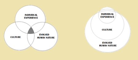 Bioculturalism - 2 ways to view it (Velikovsky 2013)