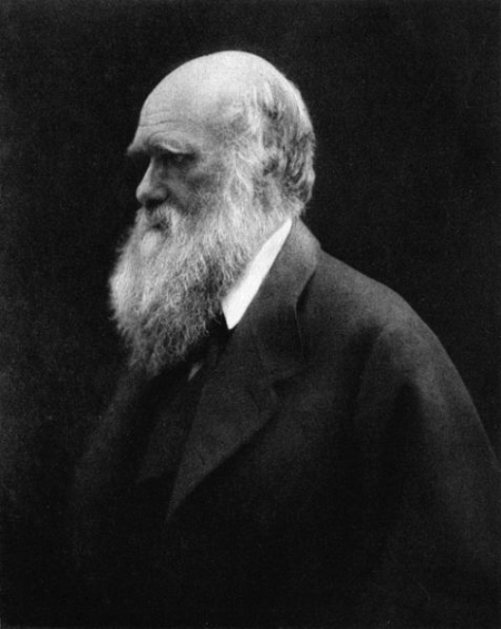Charles Darwin photographed by Julia Margaret Cameron (1868).
