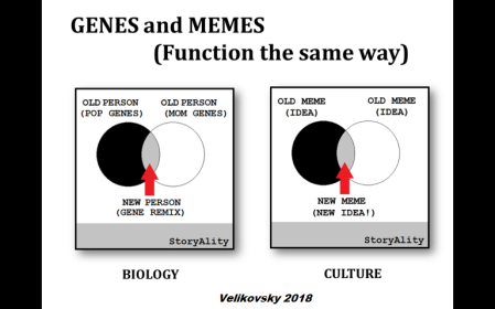 Genes and Memes function the same way